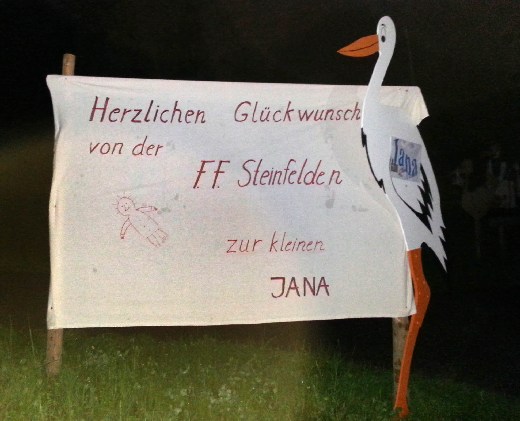 160611 Storch Jana