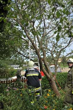 160724 Unwetter Laakirchen 10