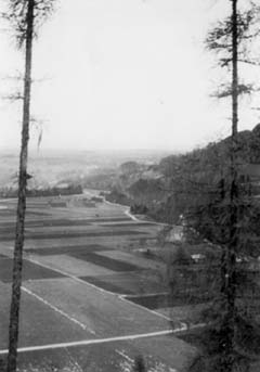 Steinfelden 1925