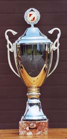 Pokal