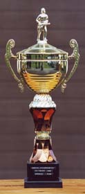 Pokal