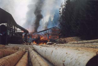 Brand Moser-Binder 3
